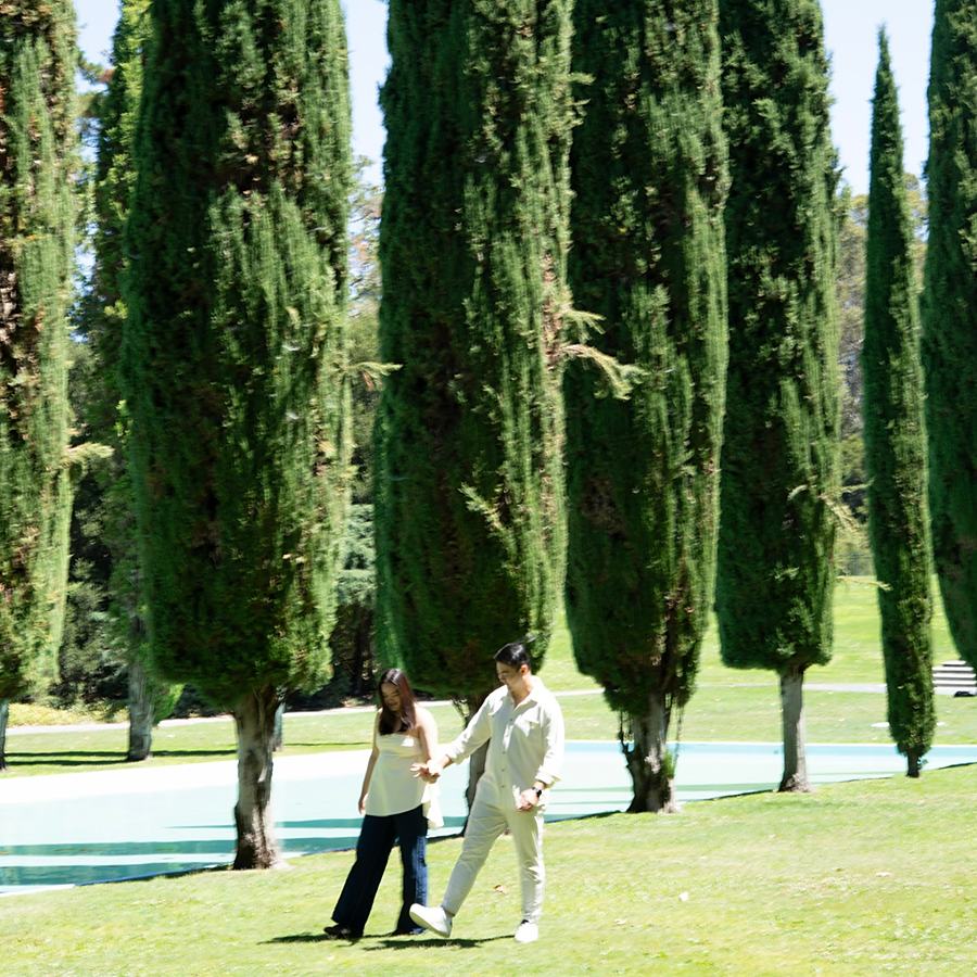 Ashley and Benjamin walking hand in hand past a row of cypress trees
